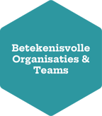 Betekenisvolle Organisaties Teams