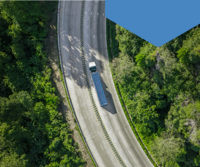 Consulting sustainability