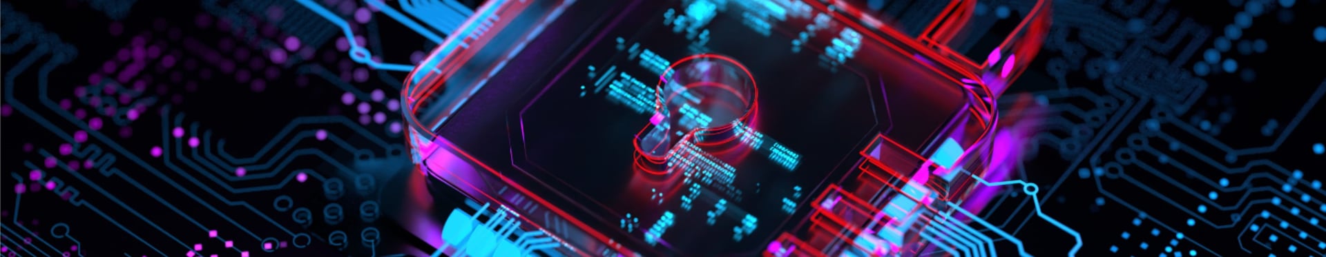 TML - Ransomware Experience: the fight against cybercriminals